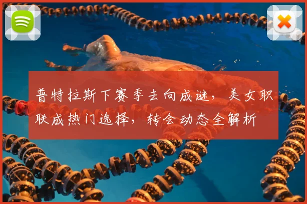 普特拉斯下赛季去向成谜，美女职联成热门选择，转会动态全解析