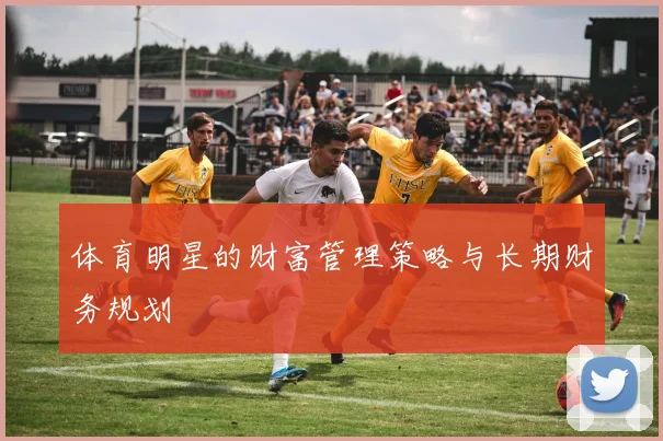 体育明星的财富管理策略与长期财务规划